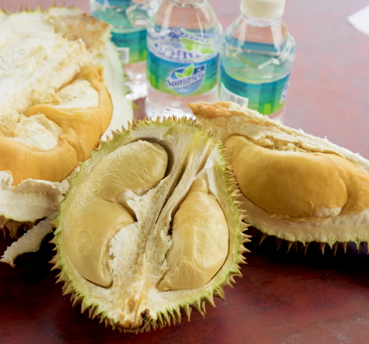 Durian Hunting